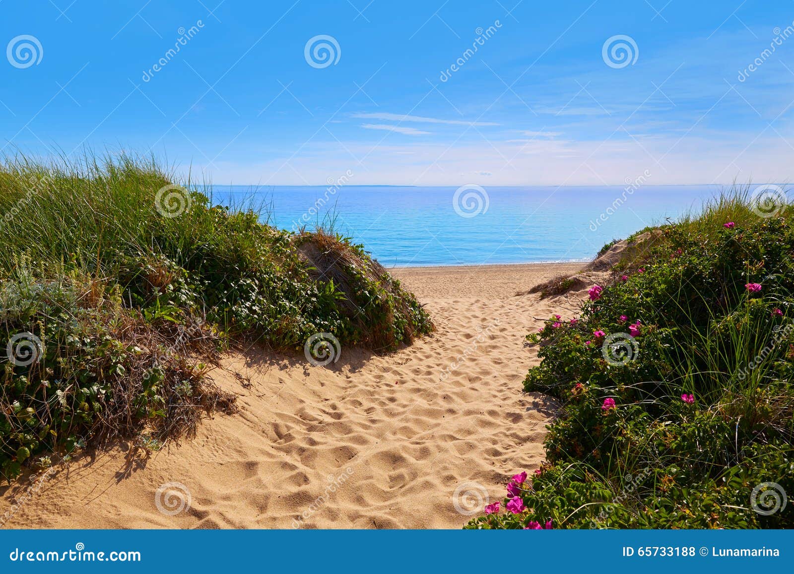 cape cod herring cove beach massachusetts us