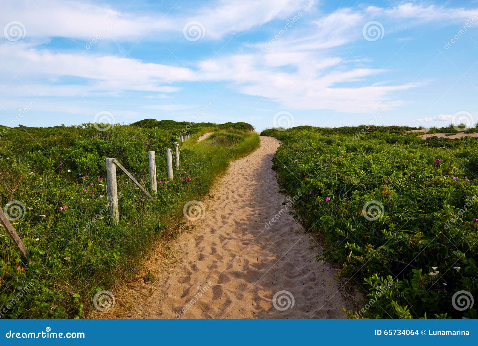 Cape Cod Herring Cove Beach Massachusetts US Stock Photo Image of