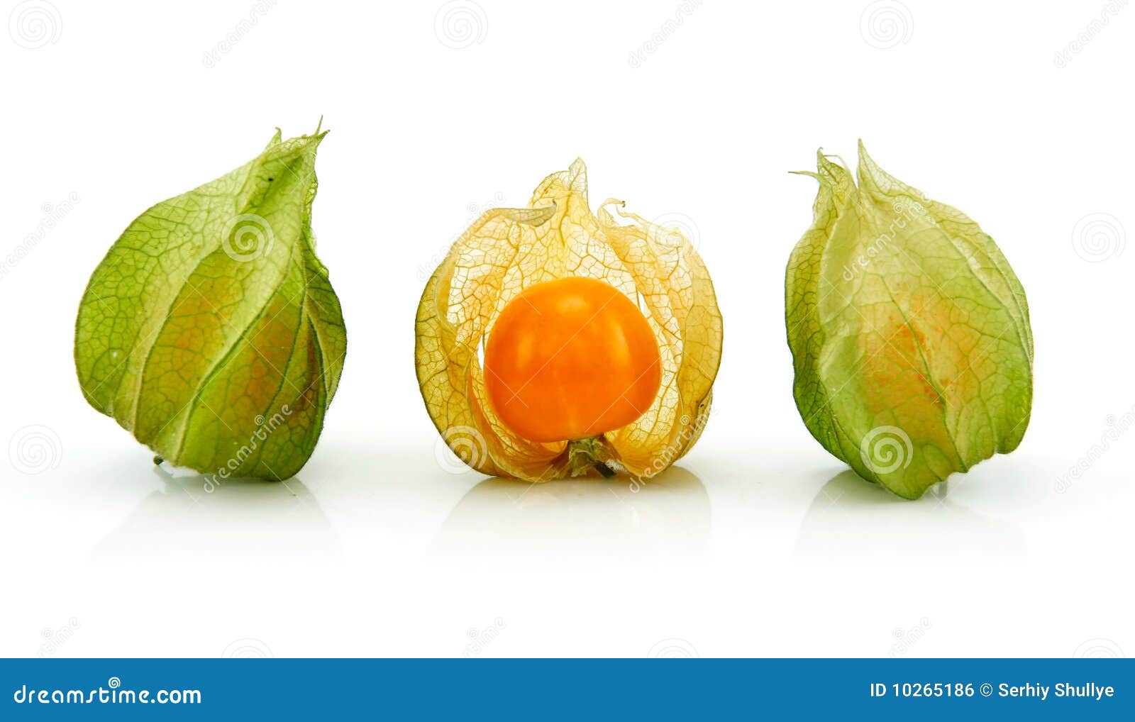 Cape Gooseberry Fruits Physalis Peruvianaisolated On White Background ...