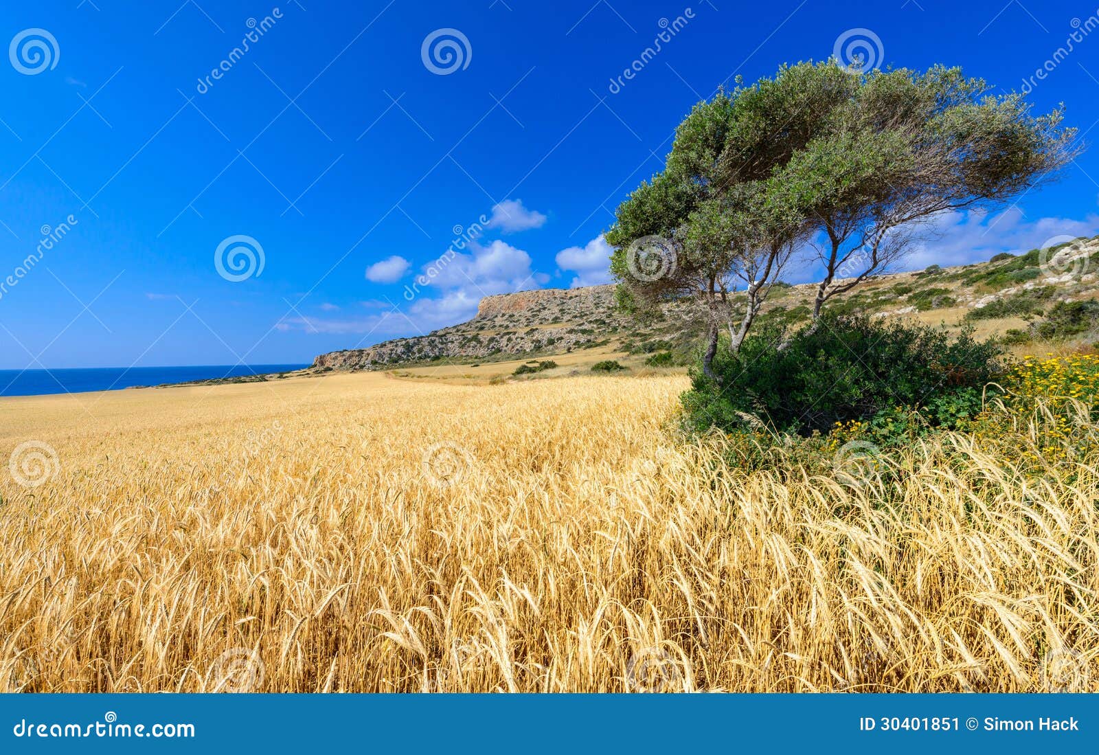 cape greco view 1