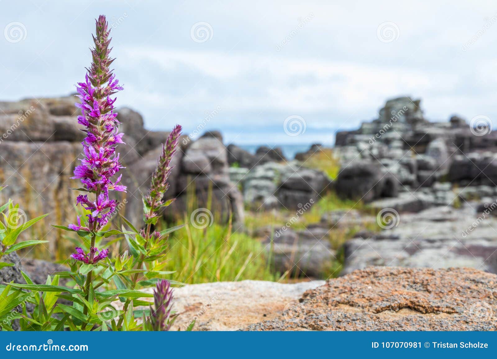 cape usutaibe scenery