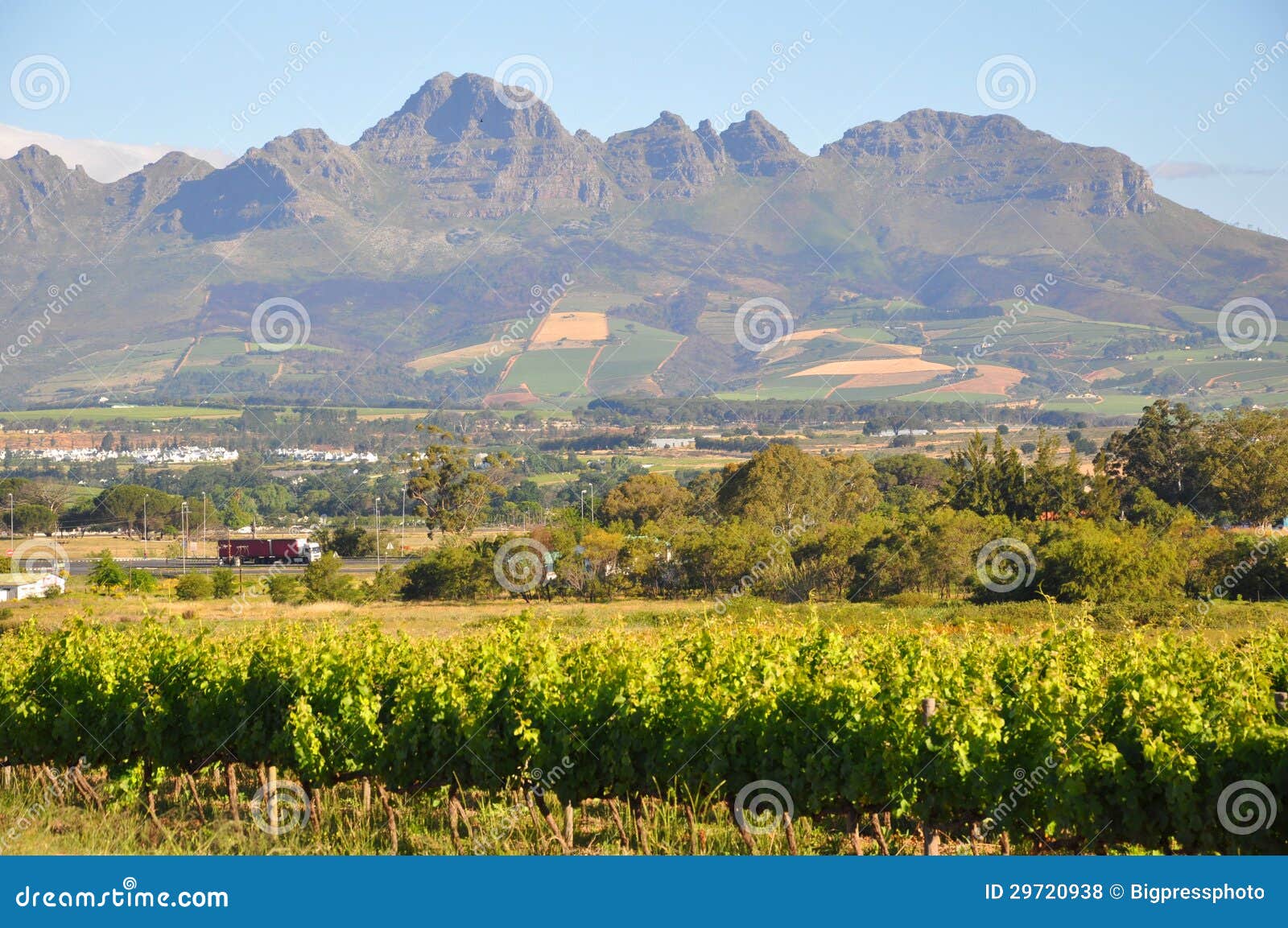 Stellenbosch Mountains and Vineyards Stock Photo Image of vineyards