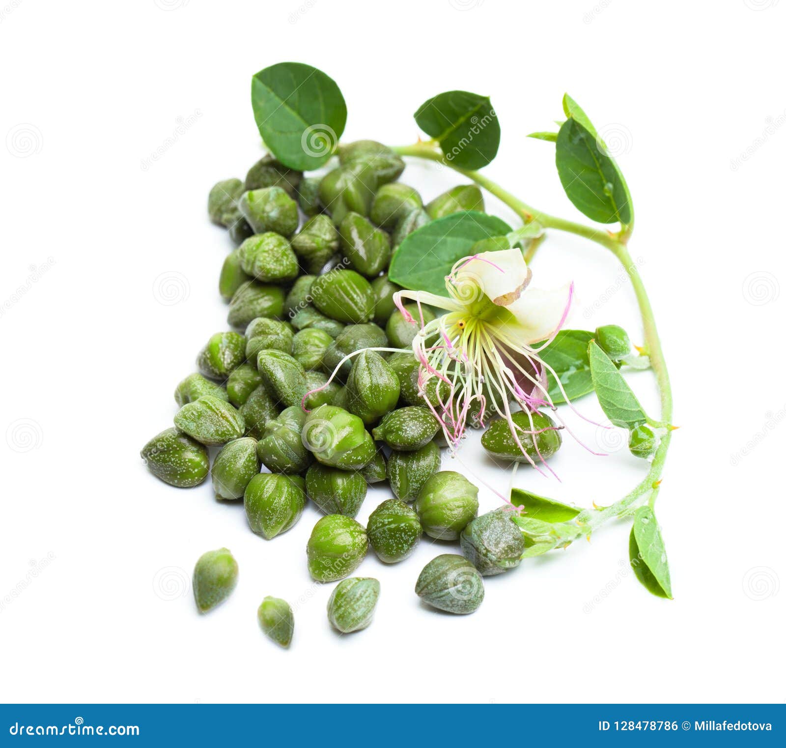 Capers on White Background. Caper Bud, Green Leaves Stock Photo Image