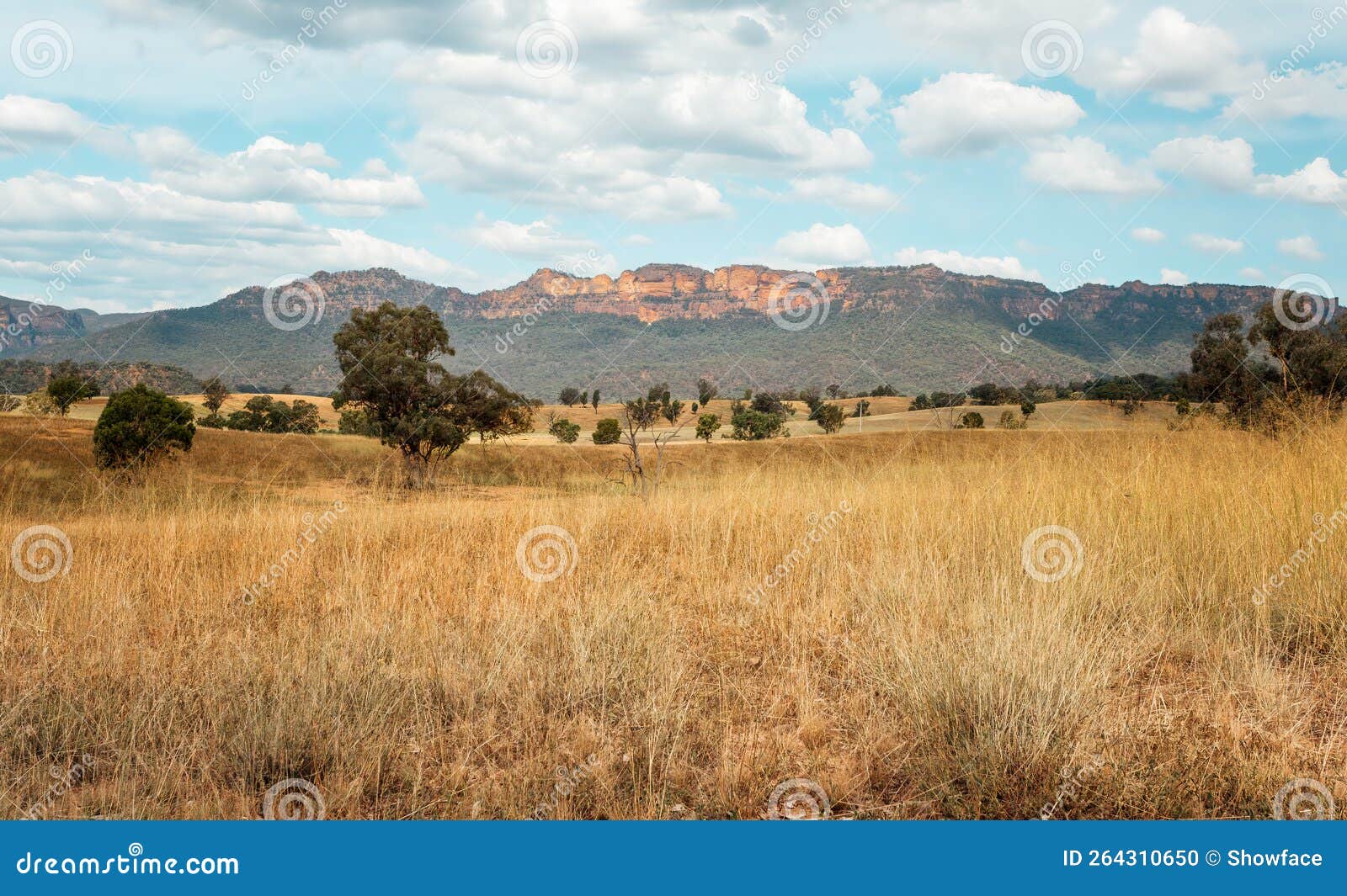 capertee valley mountain and valley views