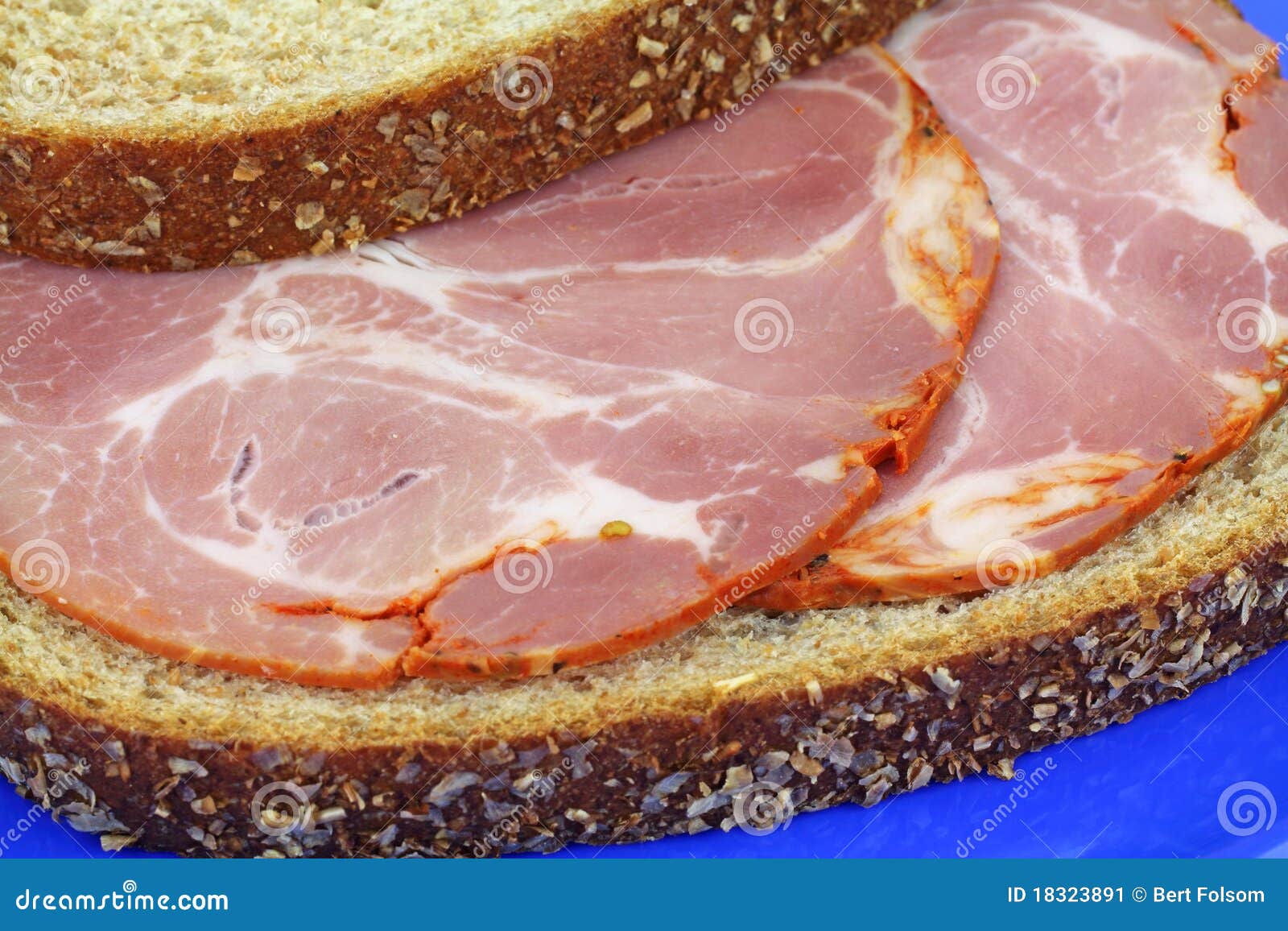 Capicola Sandwich on Wheat Bread Stock Image Image of tasty, open