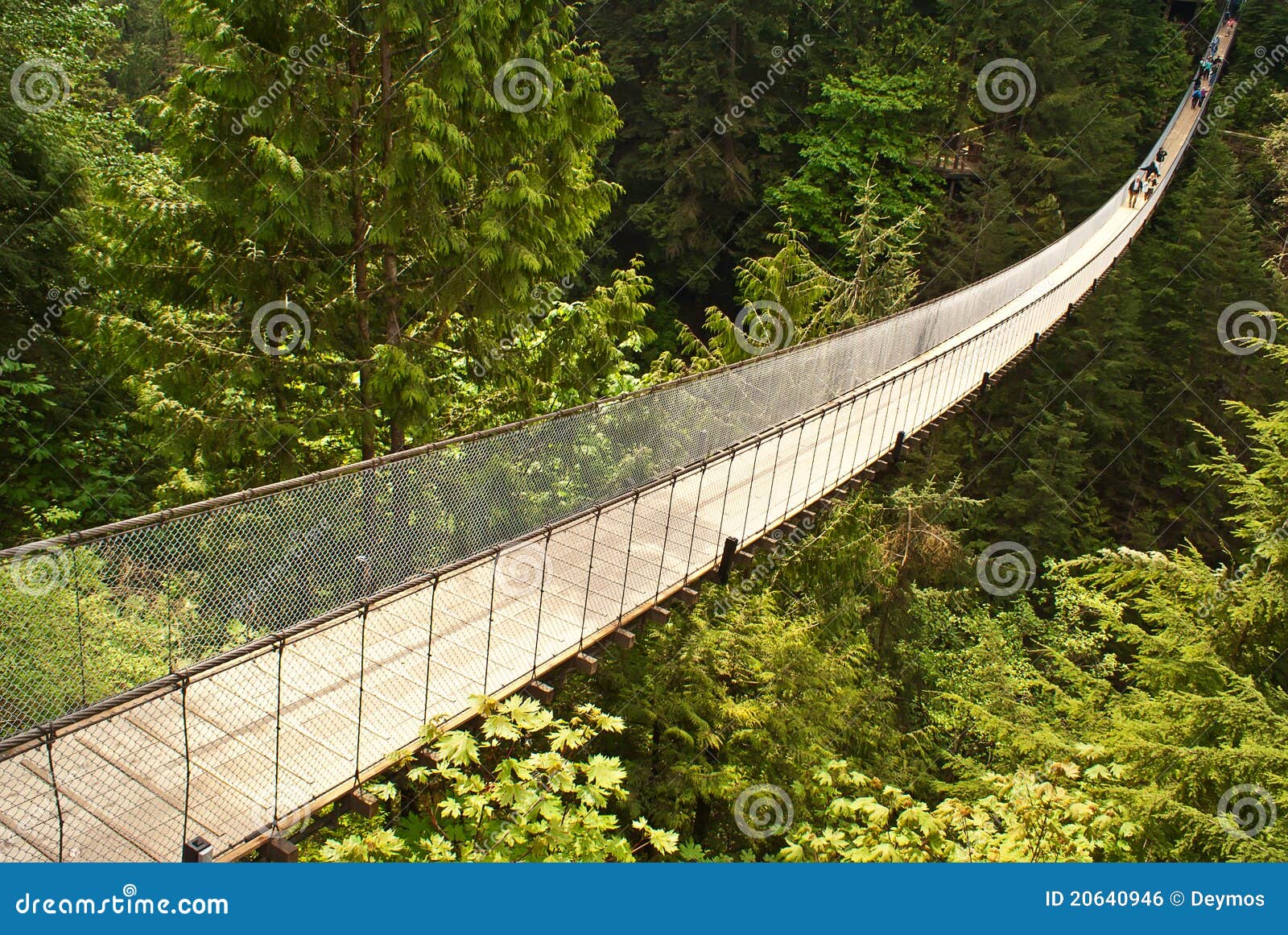 Capilano Suspension Bridge in Canada Stock Photo Image of