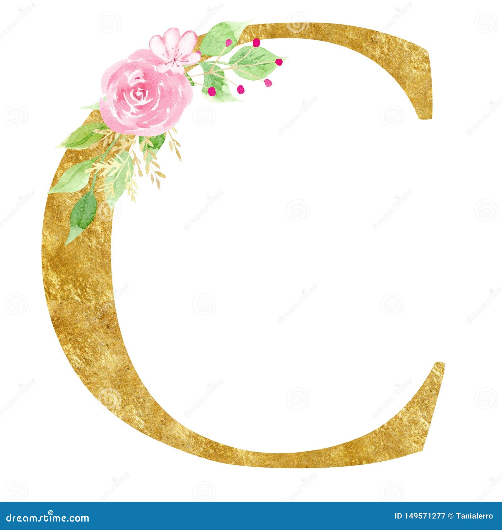 Capital C letter with flowers raster illustration. 