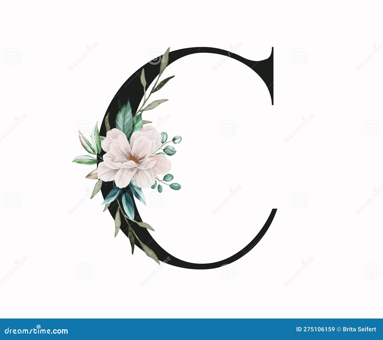 Capital Letter C Decorated with Green Leaves and Pansies. Letter of the ...
