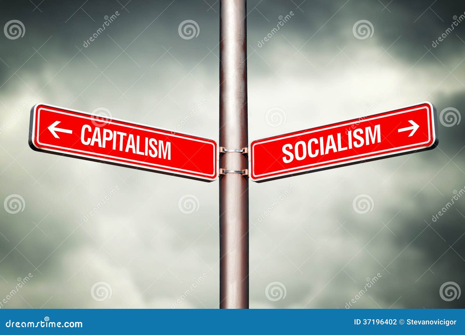 capitalism or socialism concept