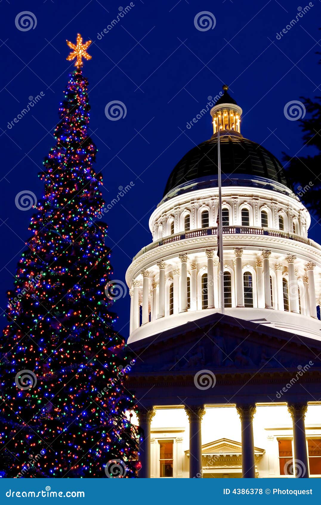 Capitol Christmas Tree stock photo. Image of balls, government 4386378