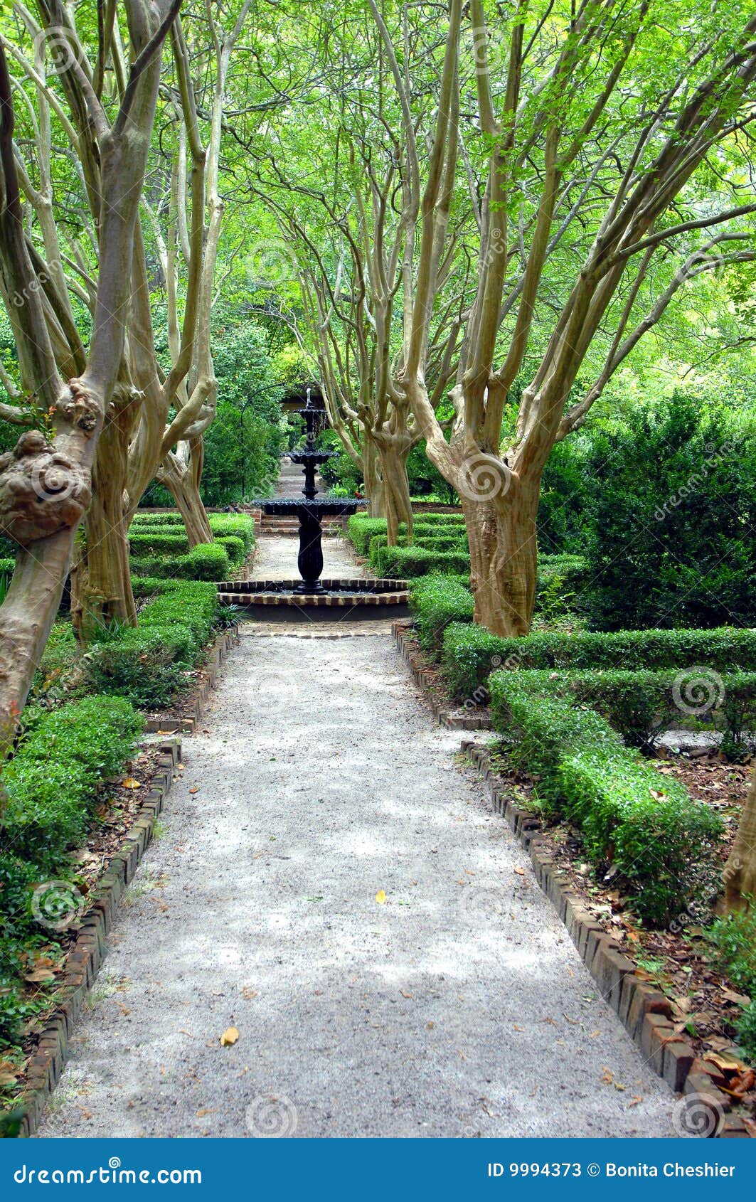 Capitol Hill Garden stock image. Image of leisure, pavement 9994373