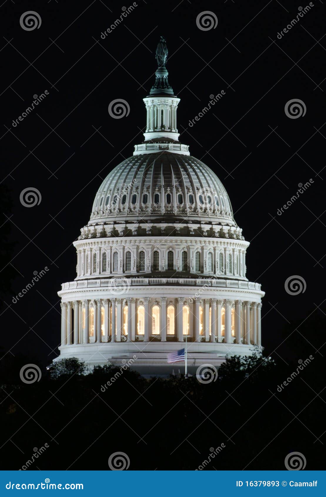 the capitol at night