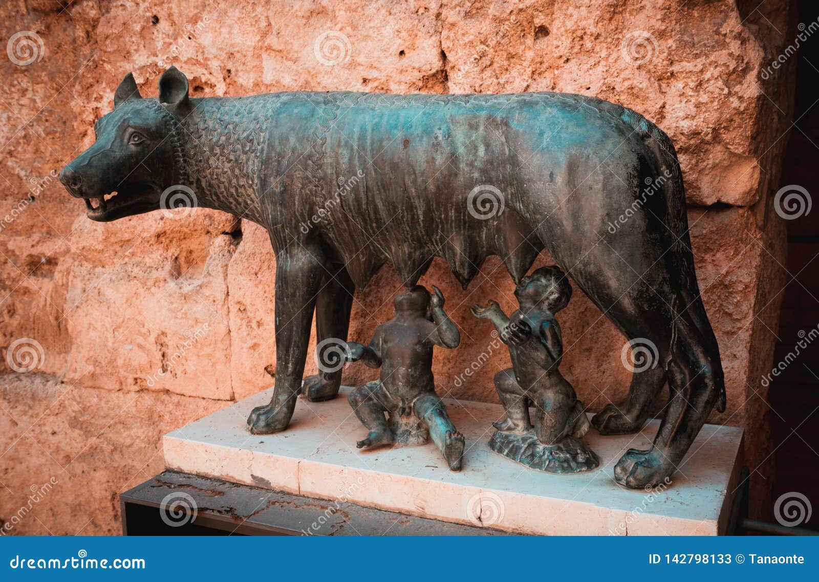 capitoline wolf in ancient tarraco. tarragona, spain