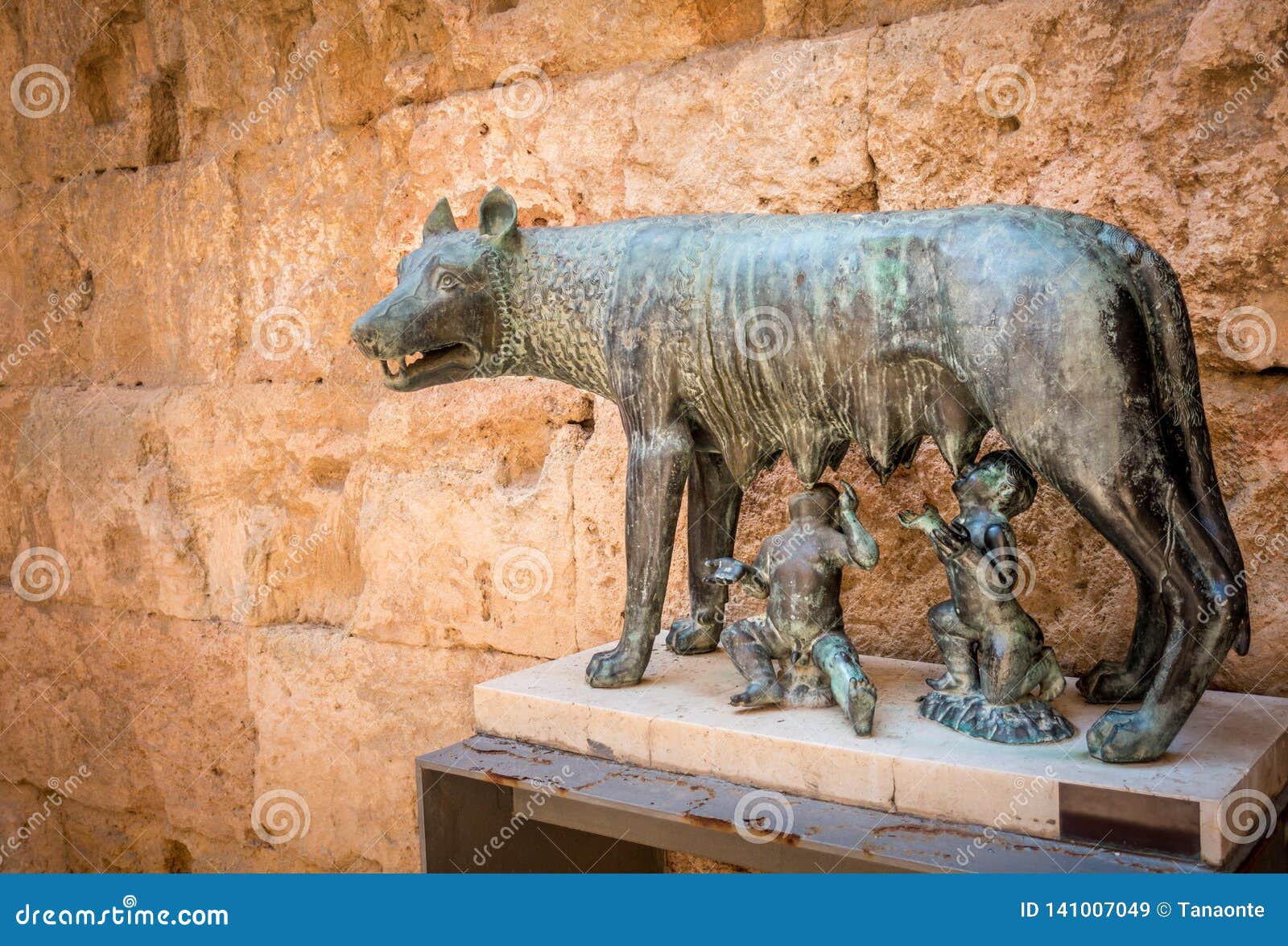 capitoline wolf in ancient tarraco. tarragona, spain