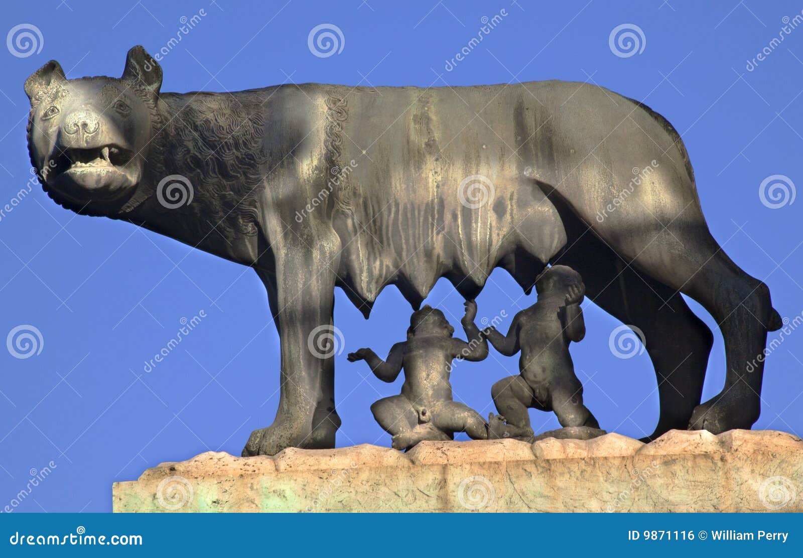 Capitoline Wolf Romulus Remus Statue Rom Stockfoto Bild von denkmal
