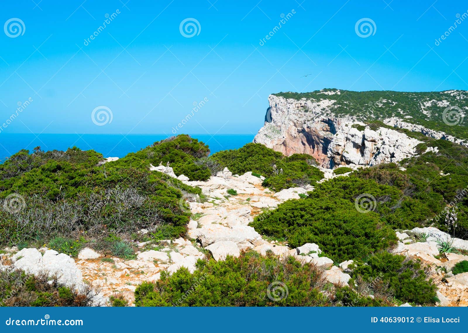Capo Caccia stock photo. Image of mediterraneum, cliff 40639012