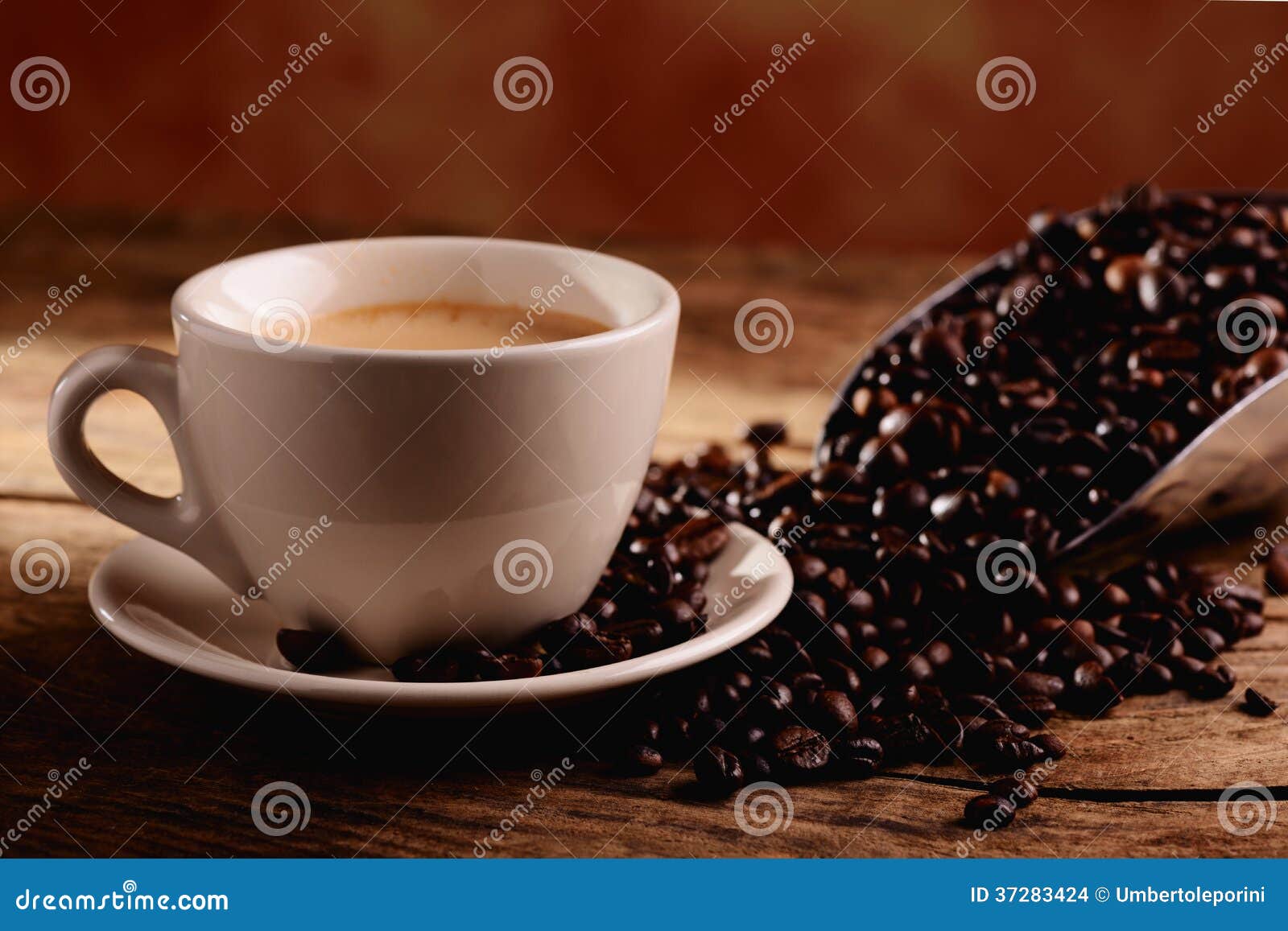 Cappuccino Coffee and Milk Stock Photo Image of milk, coffee 37283424
