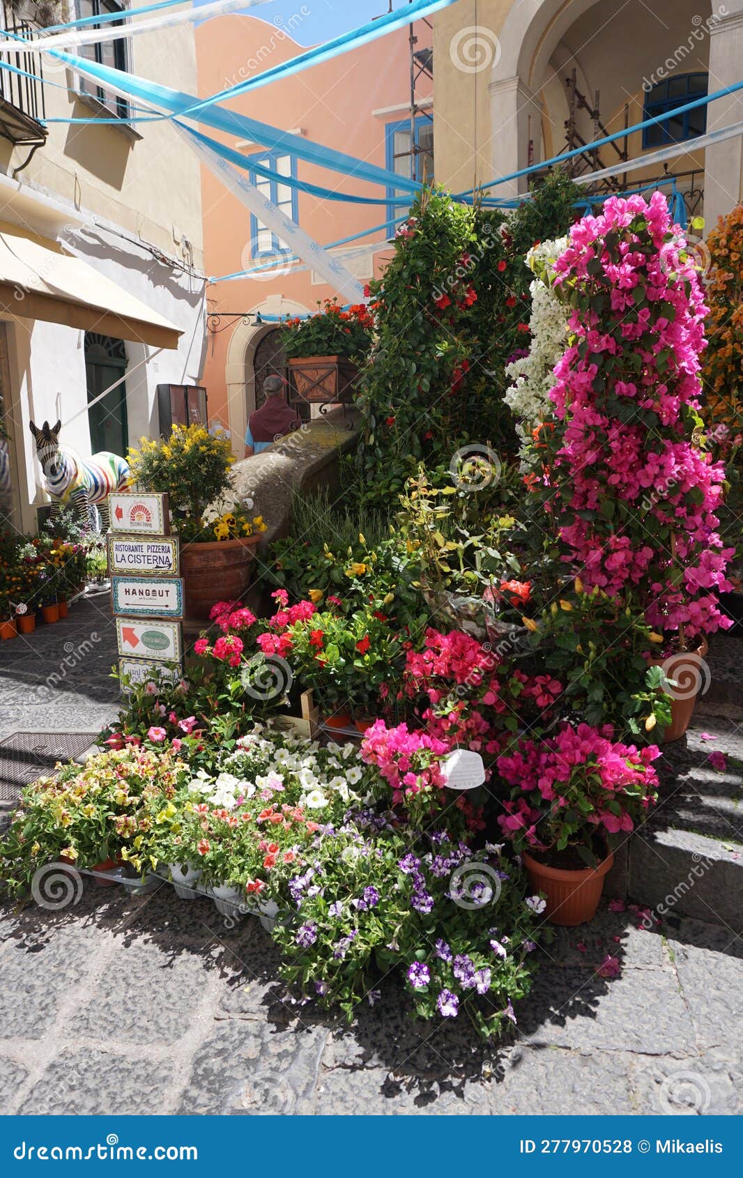 Capri Island, Italy, Flowers Stock Photo Image of cape, panorama