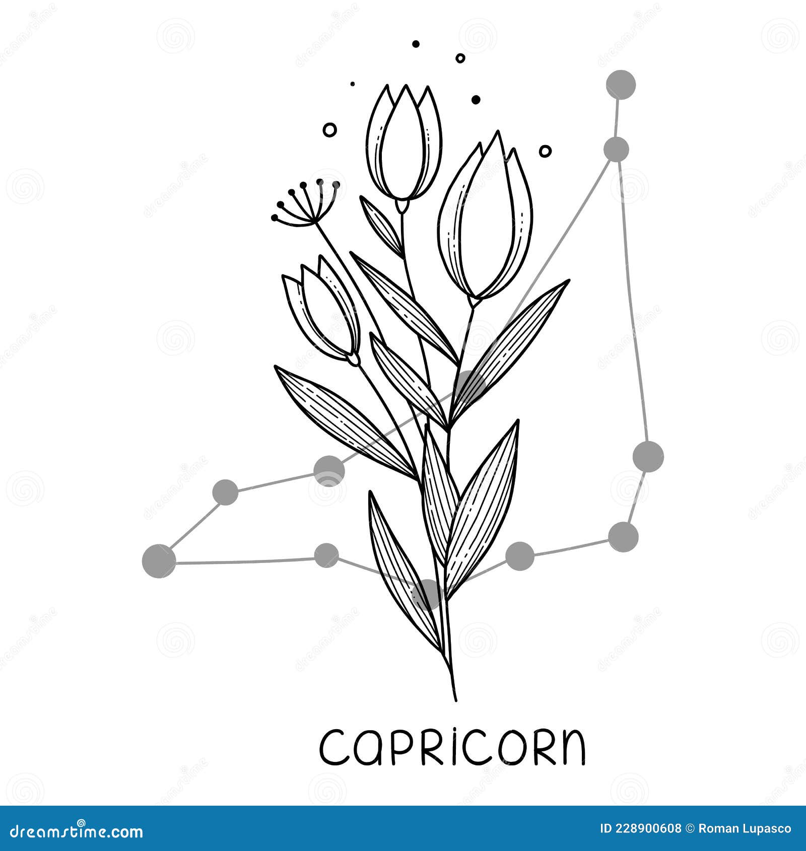 Capricorn Horoscope Flower Icon Outline Vector. Zodiac Sign Astrology Stock  Illustration - Illustration of cancer, sagittarius: 228900608