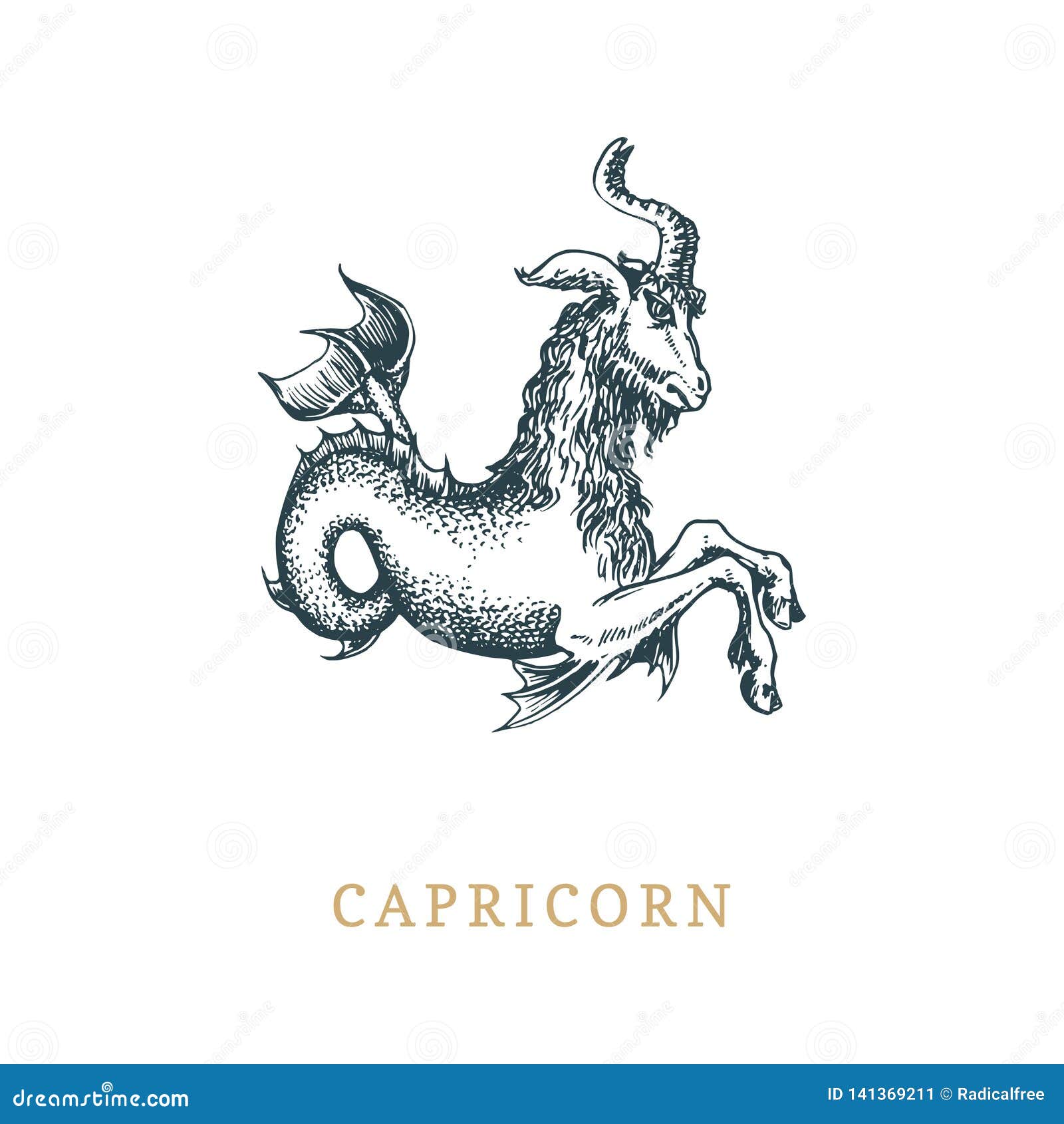 Capricorn Zodiac Symbol, Hand Drawn in Engraving Style. Vector Graphic ...