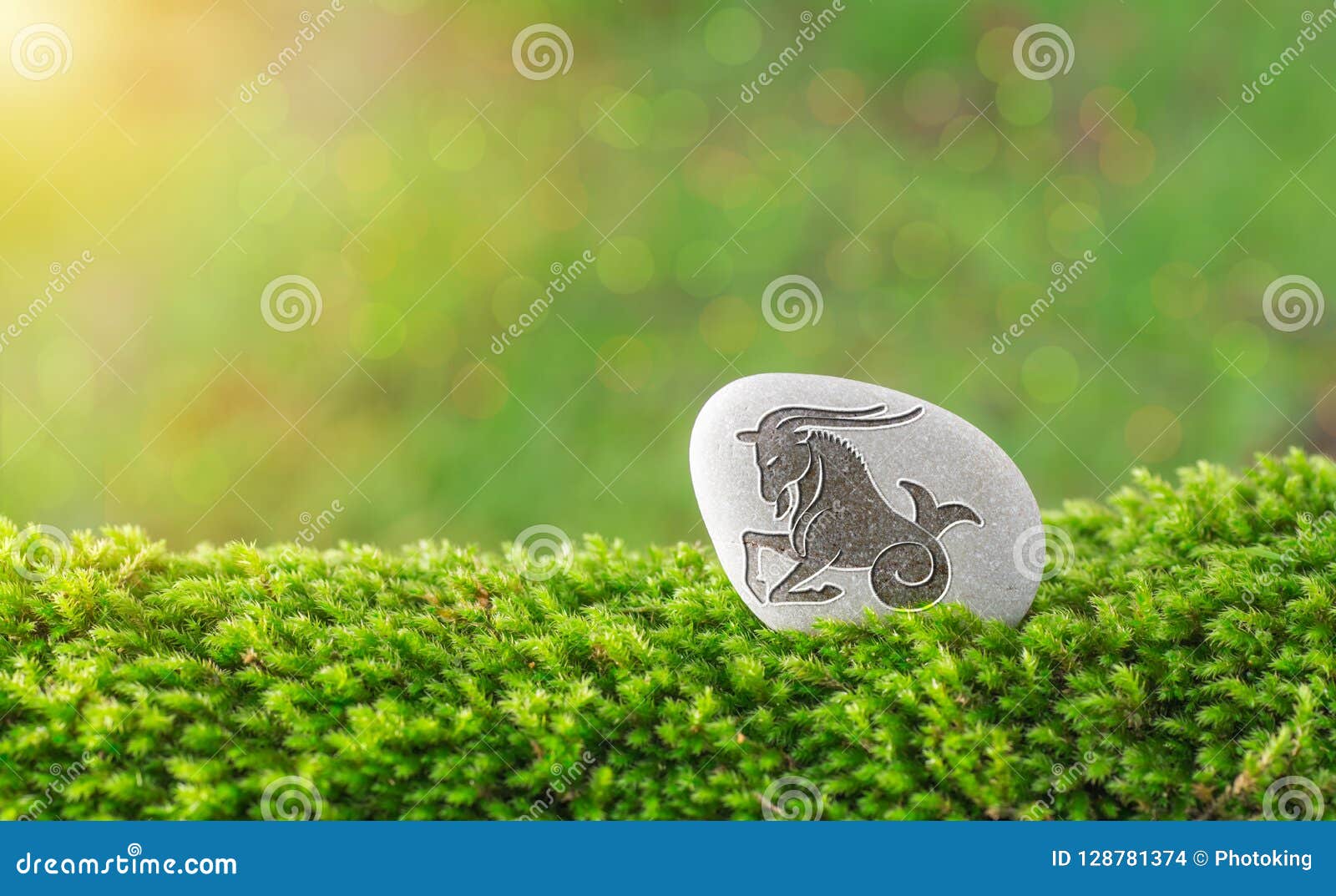 Capricorn Zodiac Symbol in Stone Stock Photo Image of calendar, aries