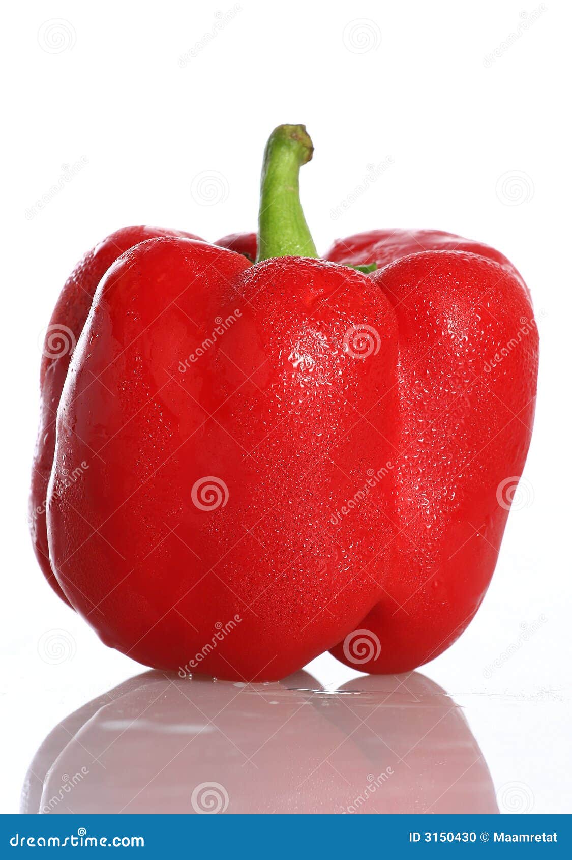 capsicum