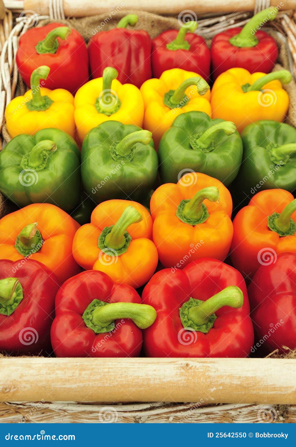 Capsicum peppers colour stock photo. Image of capsiceae 25642550