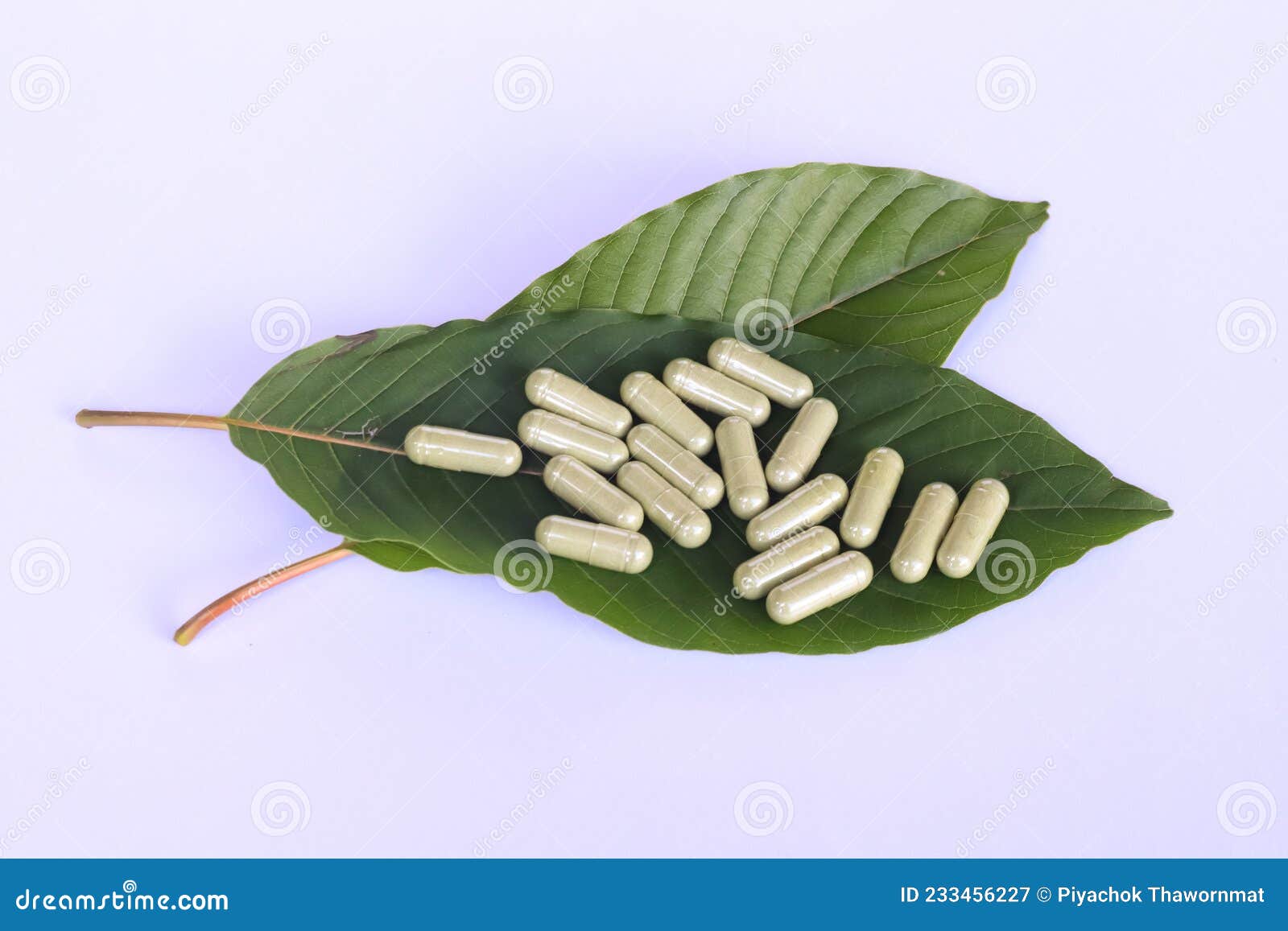 Capsules of the Herbal Supplement Kratom Stock Image Image of foliage