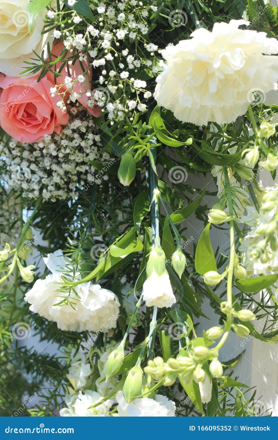 Captura vertical de lindas rosas tiradas em Iowa. Uma foto vertical de belas rosas tiradas em Iowa