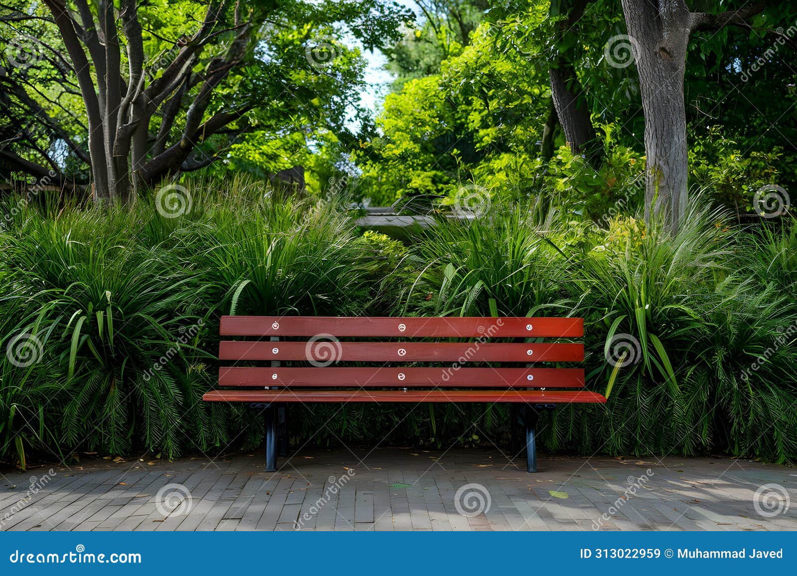 capture city park bench invites passersby to pause and unwind