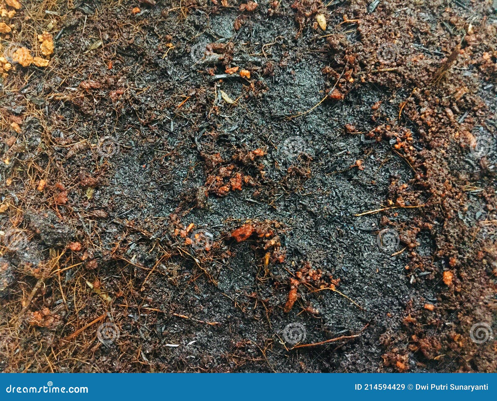 Wet Soils stock image Image of textures agriculture 214594429 Wet Soils stock image Image of textures agriculture 214594429