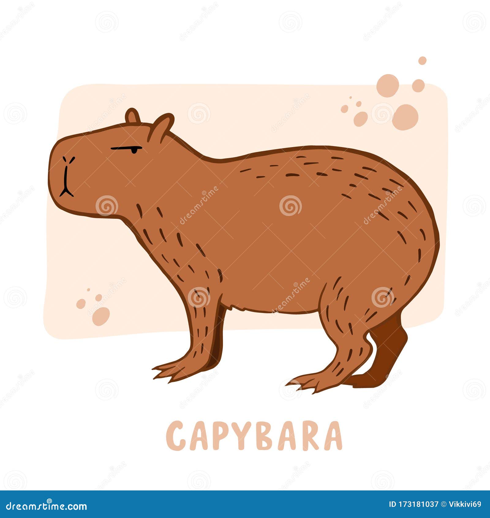 Capybara  Animal illustration art, Capybara, Animal illustration