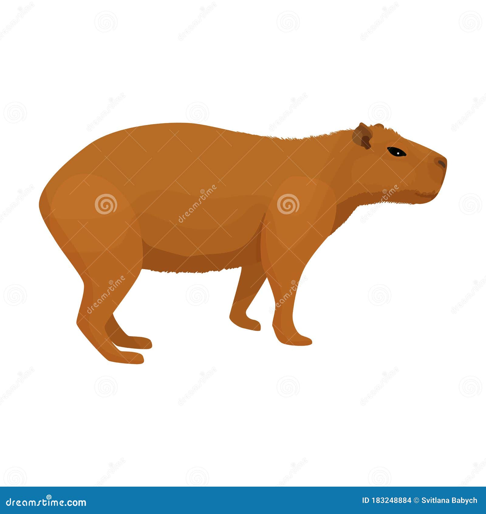 Download Capybara, Mammal, Capibara. Royalty-Free Vector Graphic