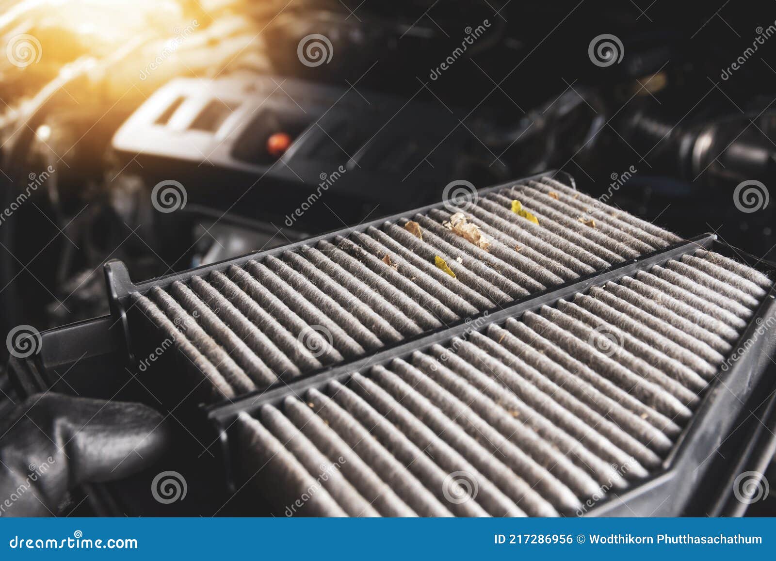 Car Air Filter is Dirty in a Hand Stock Photo Image of equipment
