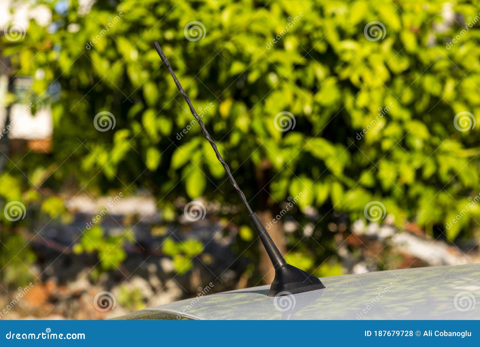 Car Antenna Black and Twisted Stock Photo Image of design, sport