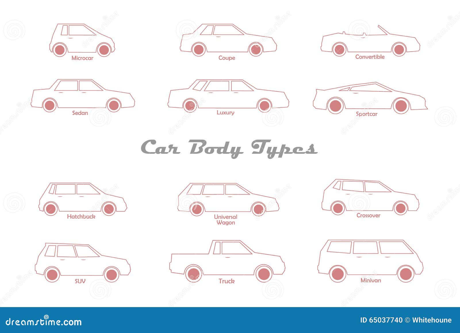 Car Body Types List Toyota Bmw Tesla Most Searched Cars During