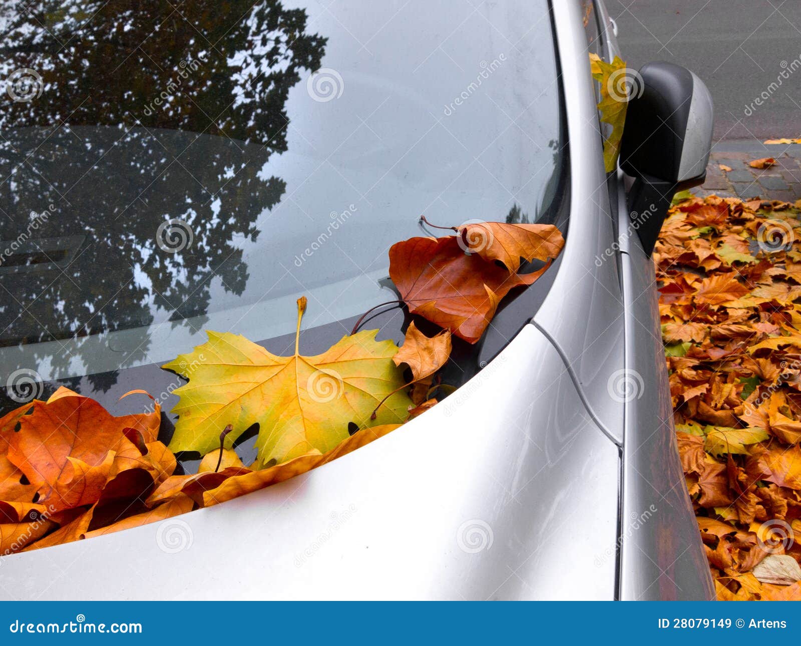 Car Covered with Autumn Leaves. Stock Image Image of concepts, leaf 28079149