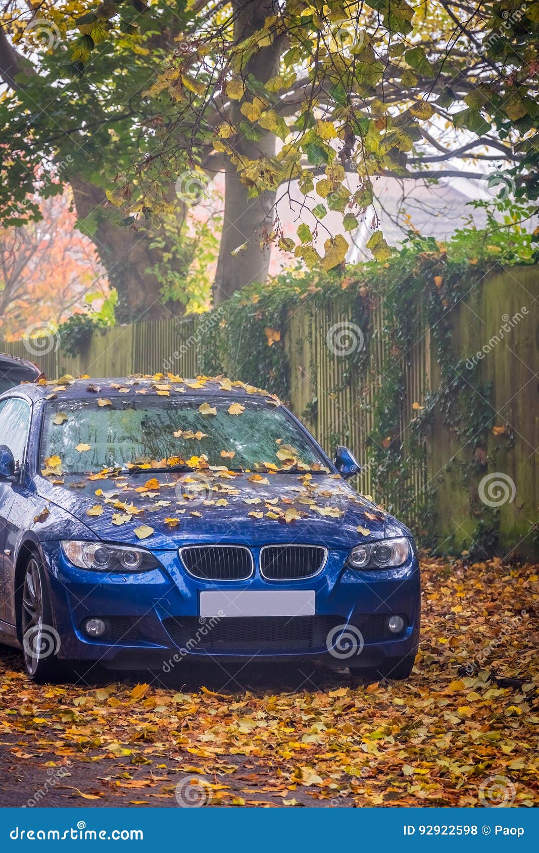 Car Covered in Leaves in Autumn Stock Photo Image of leaves, hazy 92922598