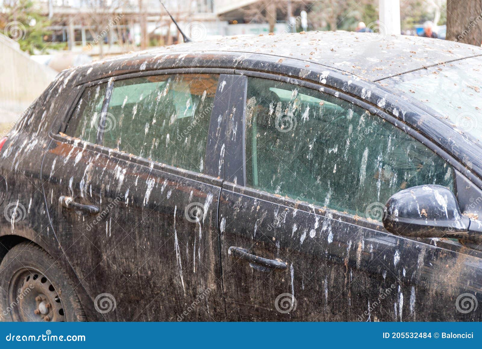 acid rain damage on cars