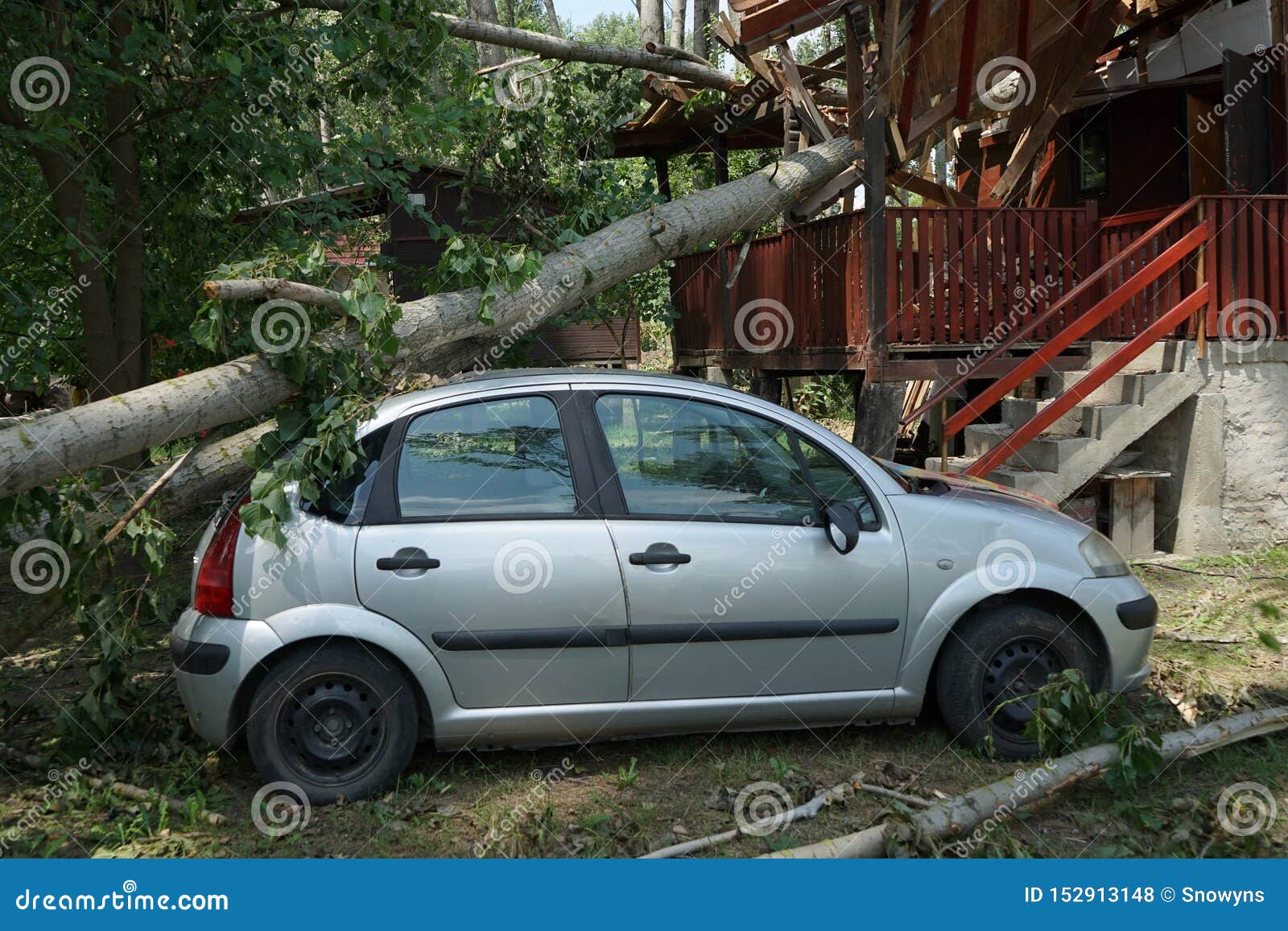 a car damaged by hurricane with fallen tree on the house and car