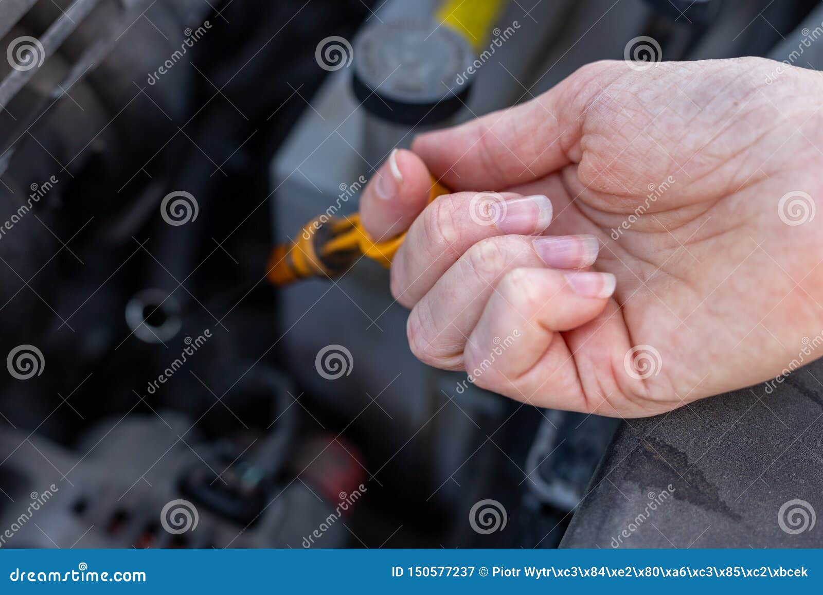 Car Dipstick for Oil Level Measurements. Checking the Parameters of the