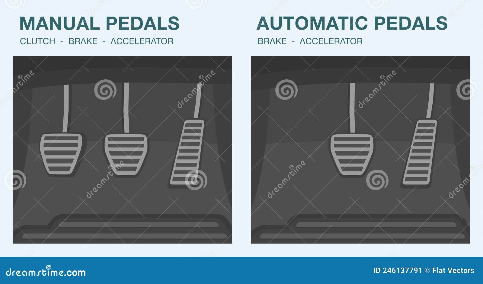 Car Driving Elements. Types of Car Pedals. Manual and Automatic