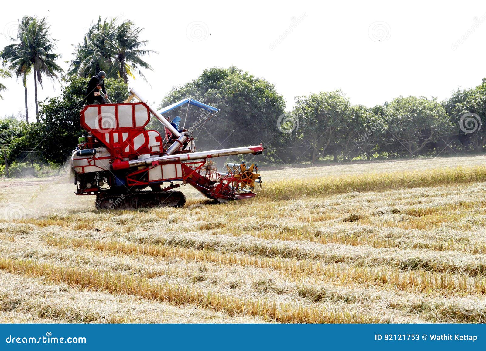 The car for harvest editorial stock photo. Image of natural 82121753