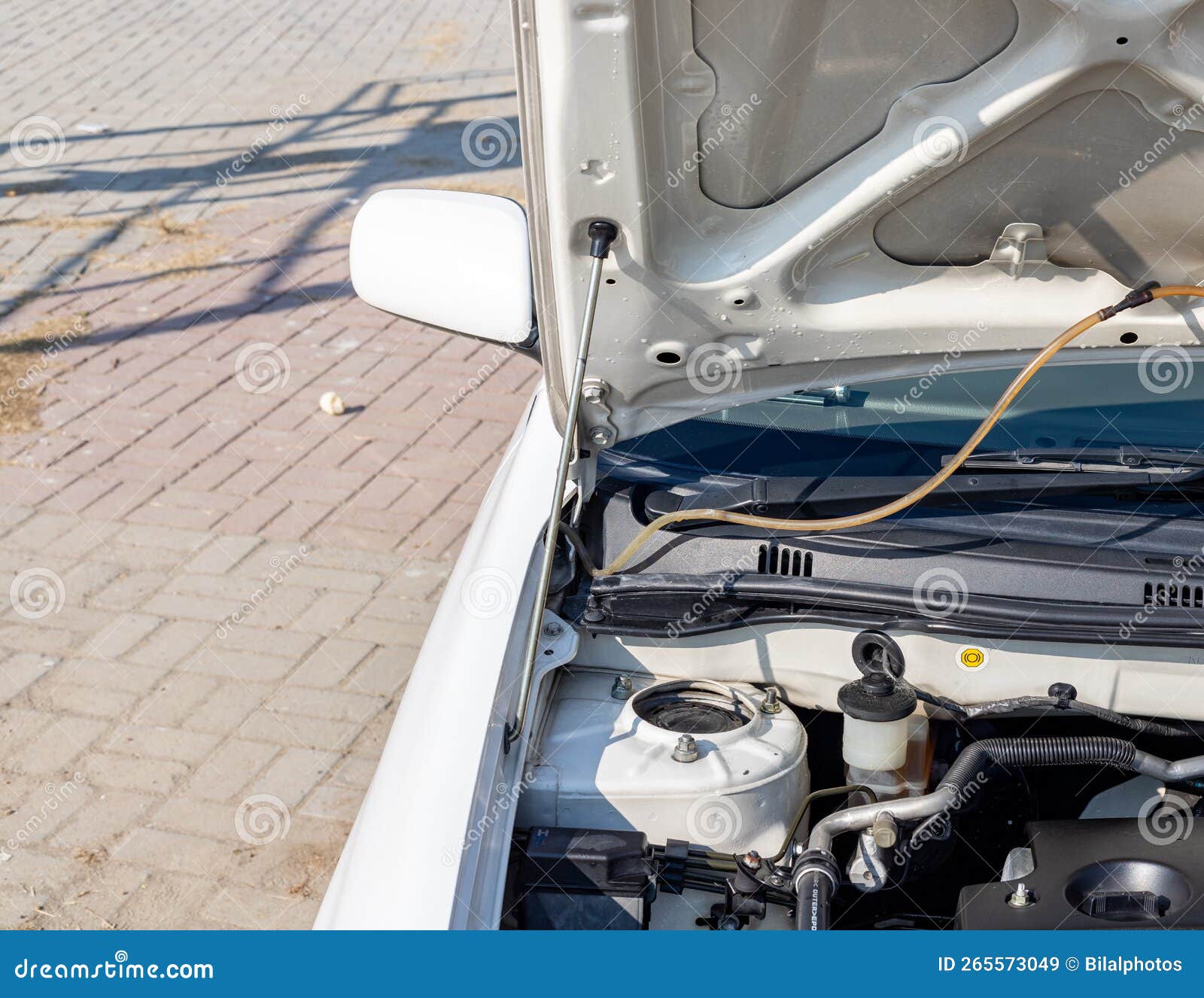 Car Hood Support Rod Closeup Stock Image Image of supporting, motor