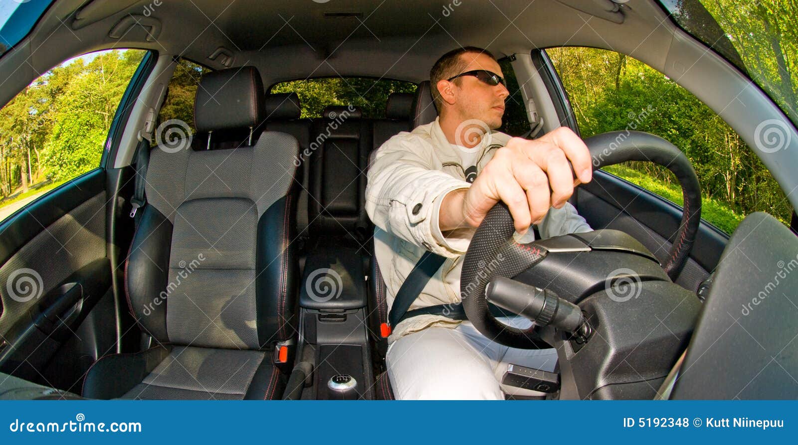 Car interior stock photo. Image of sunglasses, drive, forest 5192348