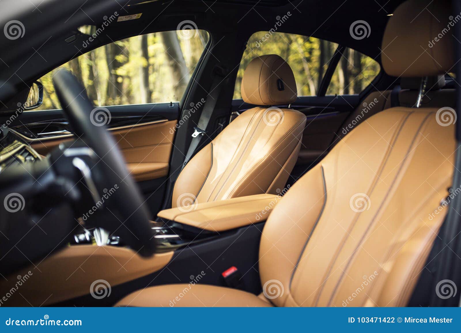 Front View Car Interior Stock Photos - 31,549 Images