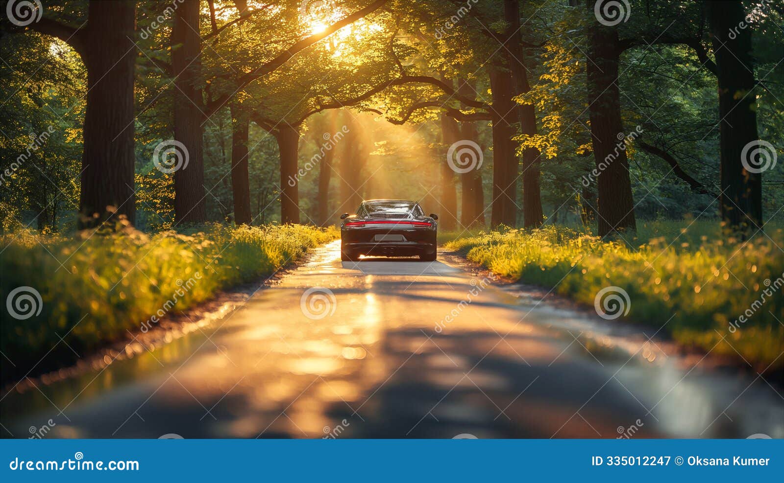 a car navigates a winding forest road under sunlight filtering through green trees. generative ai