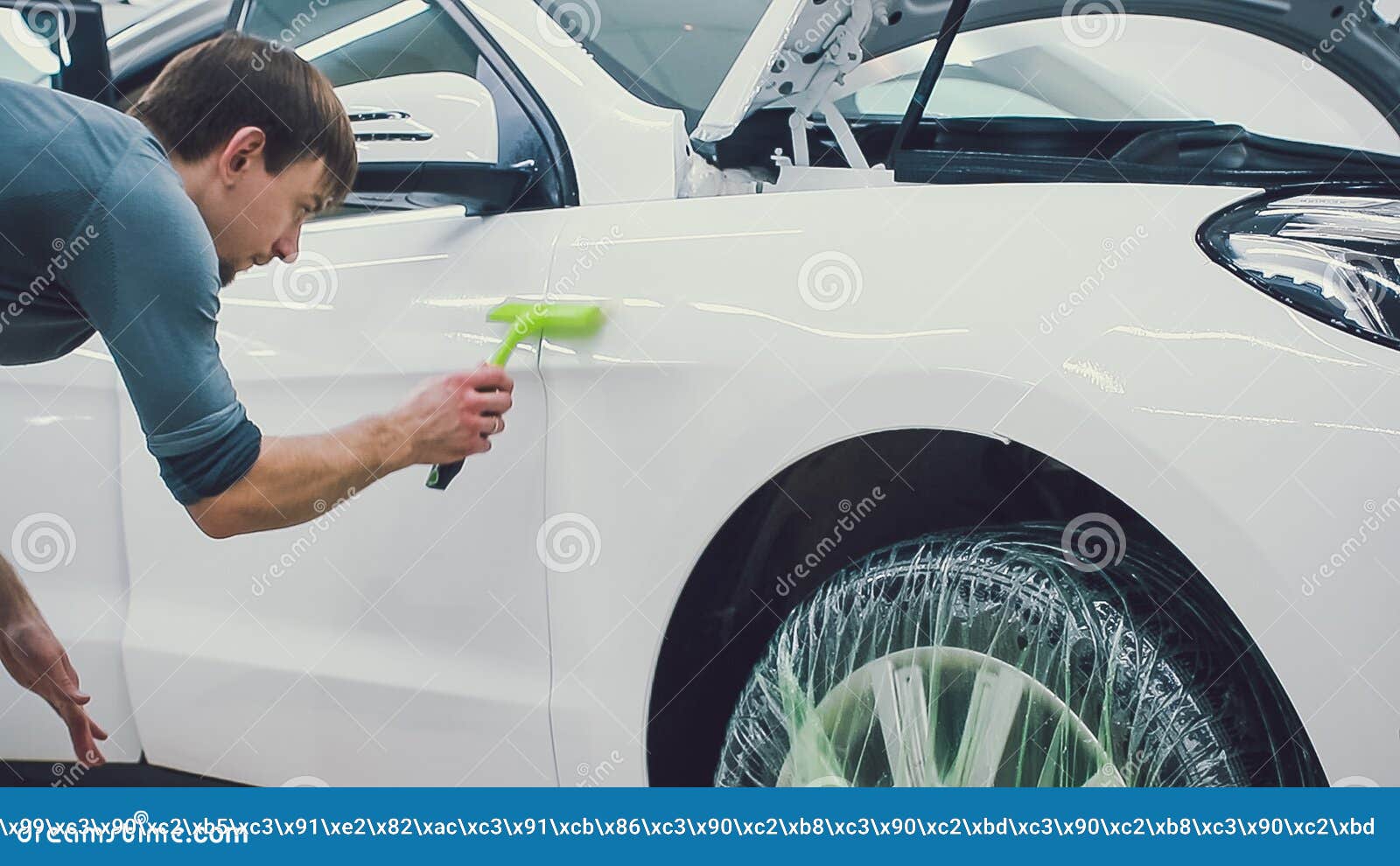 Car Paint Protection, Protect Coating Installation Stock Photo Image