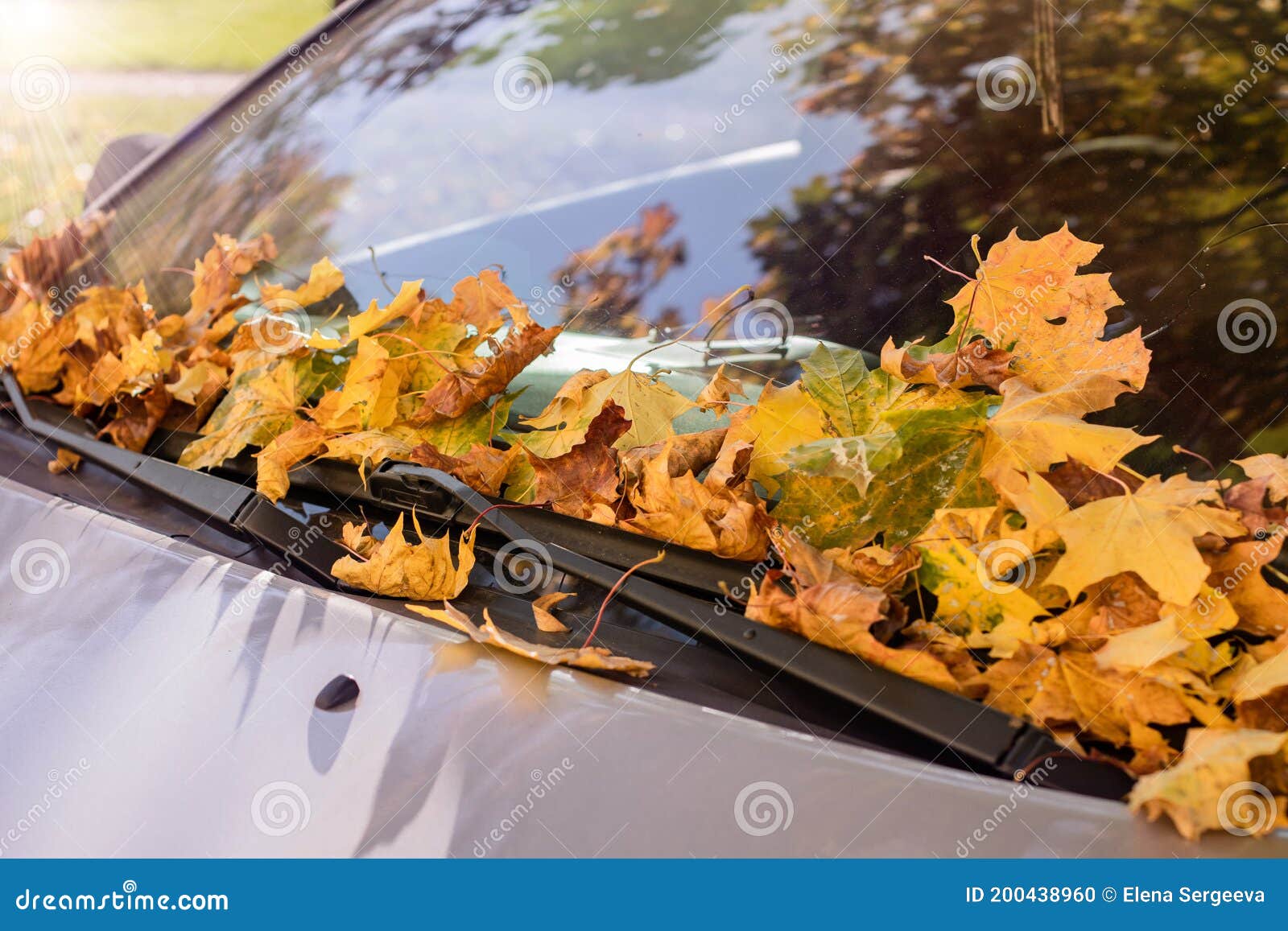 Car in the Parking Lot, Autumn Leaves on the Windshield Stock Photo Image of foliage, autumn