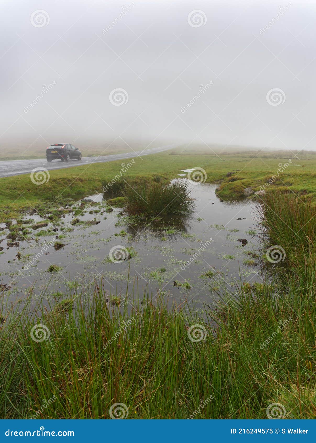 cold, foggy day on dartmoor.
